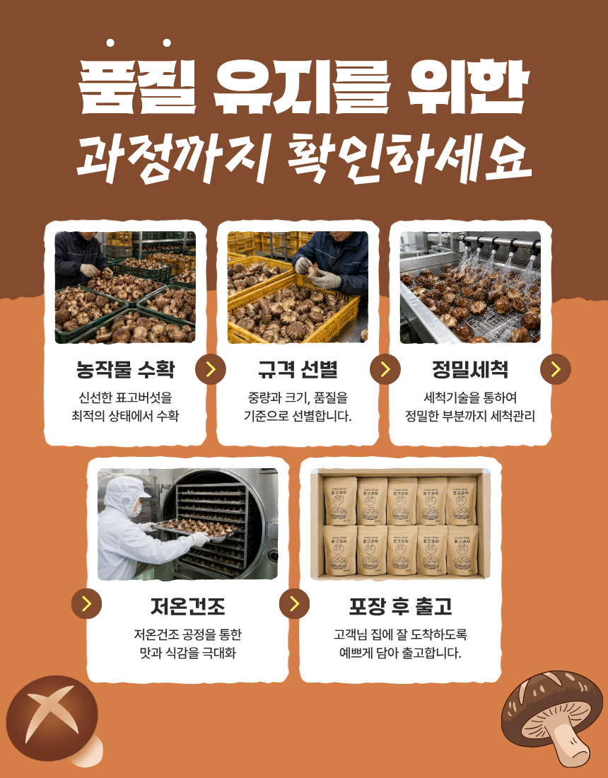 표고 버섯칩 동결건조 야채칩 스낵 과자 혼자먹는 꽈삭칩 40g, 5개 - 상세 이미지 4