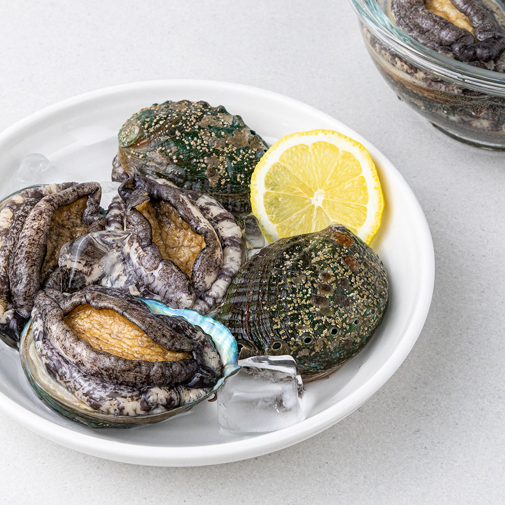 완도 활전복 산지직송 국내산 생전복 당일작업 산소포장 1kg 2kg 이미지 6