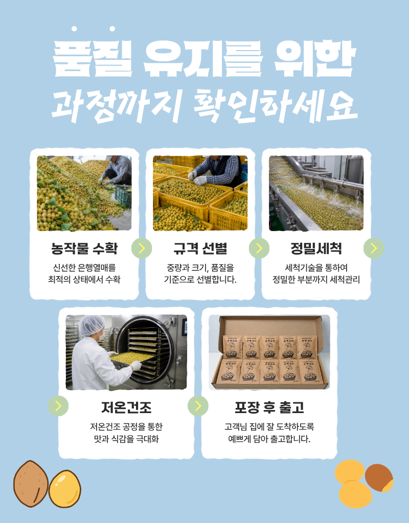 당뇨 저당 간식 은행칩 야채칩 동결건조 은행 과자 혼자먹는 꽈삭칩 20g, 1개 - 상세 이미지 4