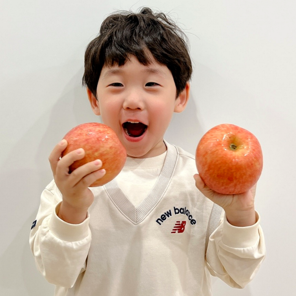 사과 경북 홍로 아오리 썸머킹 청송 안동 가정용 못난이 3kg 5kg 10kg