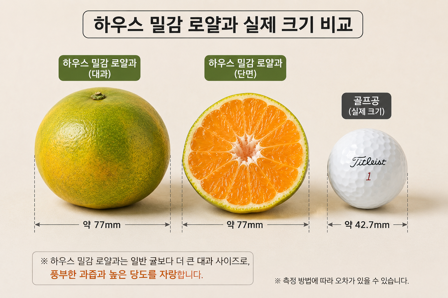 [선물용] 제주 하우스 감귤 4kg 로얄과 - 상세 이미지 4