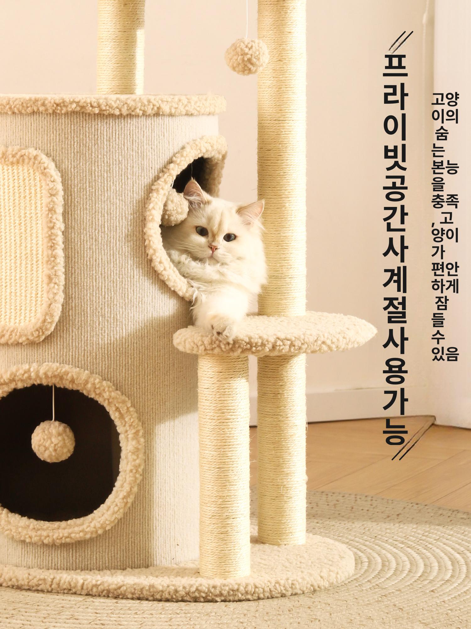 낮은 캣타워 소형 고양이 계단형 반려묘 놀이터 원목 노령묘 베이지 세트 - 상세 이미지 4