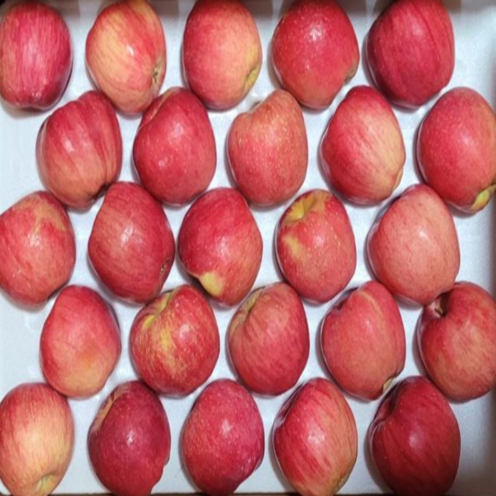 아삭달콤 못난이 부사사과 5kg(20-24과) 영주사과 농장직송 이미지 6