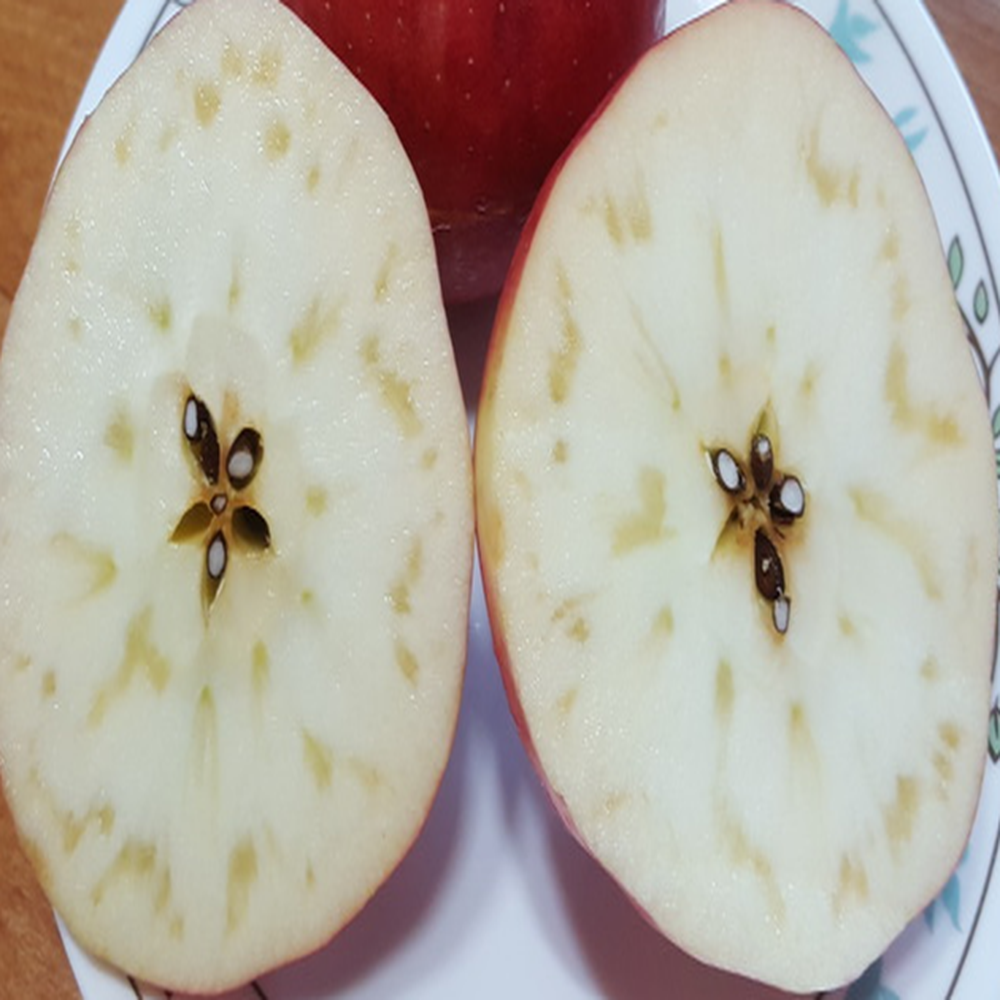 아삭달콤 못난이 부사사과 5kg(20-24과) 영주사과 농장직송 - 상세 이미지 5
