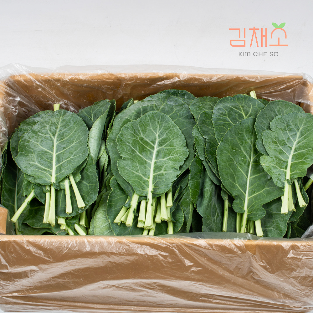 김채소 산지직송 국내산 신선한 케일 2kg, 1개 - 상품 이미지