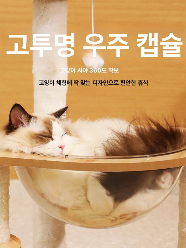 낮은 캣타워 소형 고양이 원목 미니 계단형 놀이터 노령묘 캣폴 벨벳기둥 - 상세 이미지 3