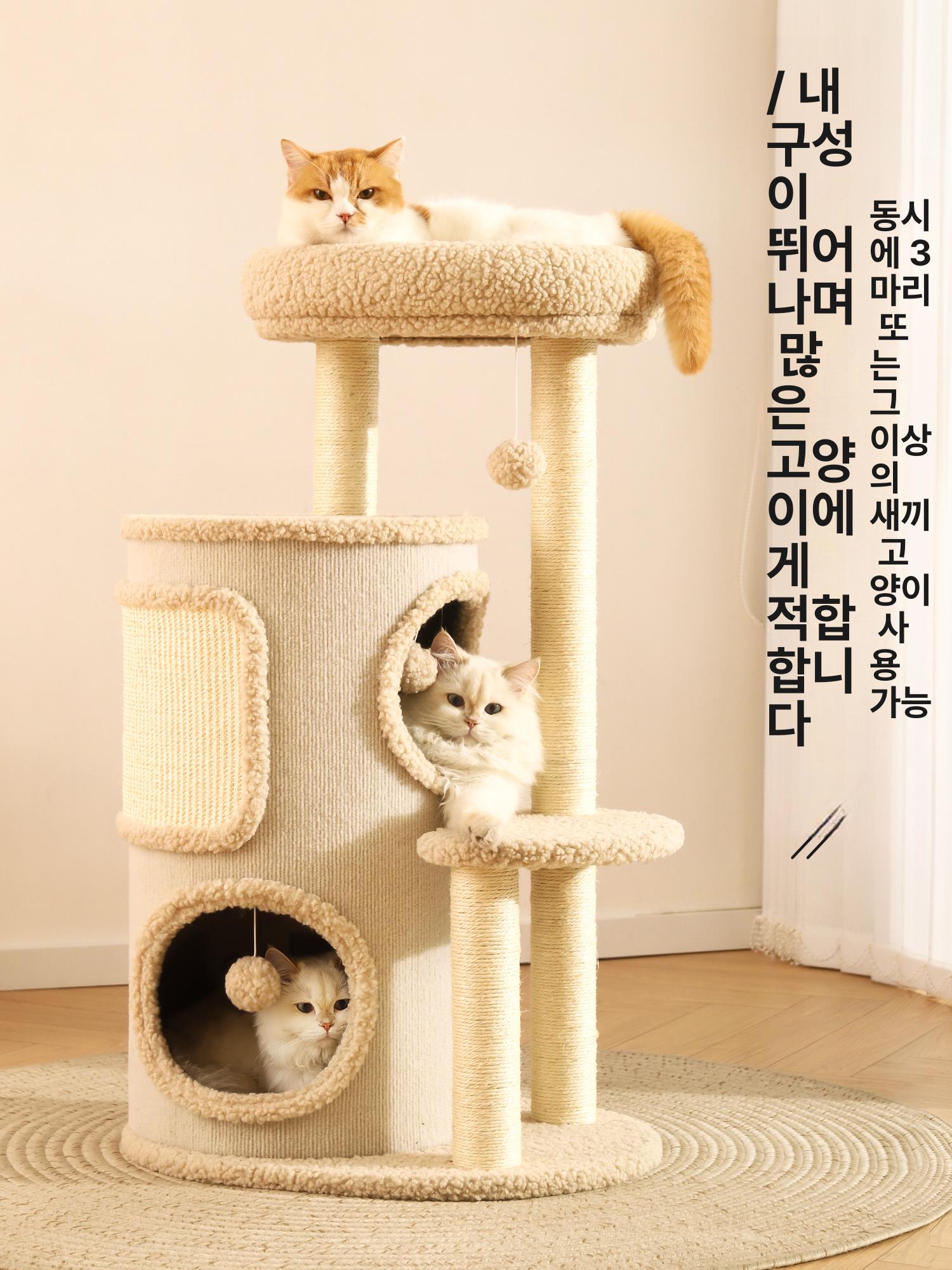 낮은 캣타워 소형 고양이 계단형 반려묘 놀이터 원목 노령묘 베이지 세트 - 상세 이미지 5