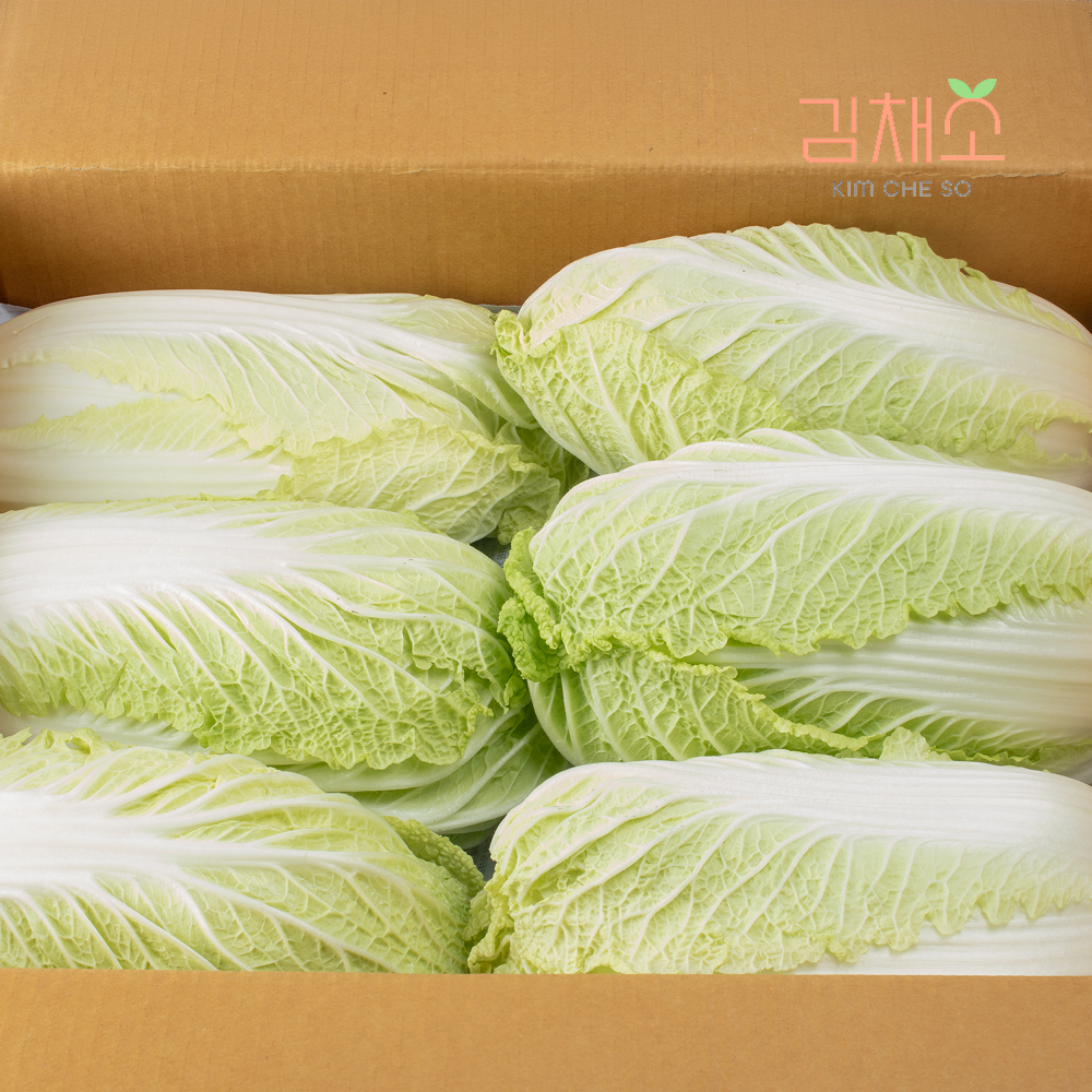 김채소 국내산 알배기 배추 알 배추 쌈 배추  , 6kg, 1개 - 상품 이미지