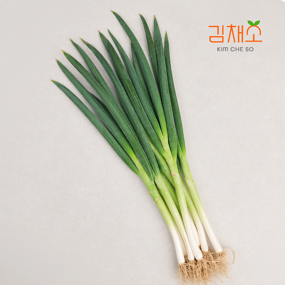 김채소 국내산 대파 1kg, 1개 - 상품 이미지