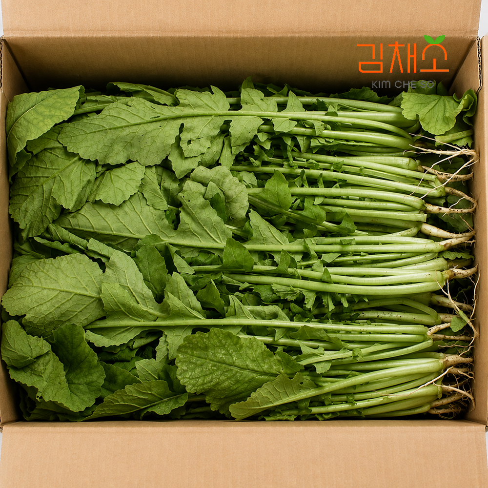 김채소 산지직송 국내산 여린열무 4kg, 1개 - 상품 이미지