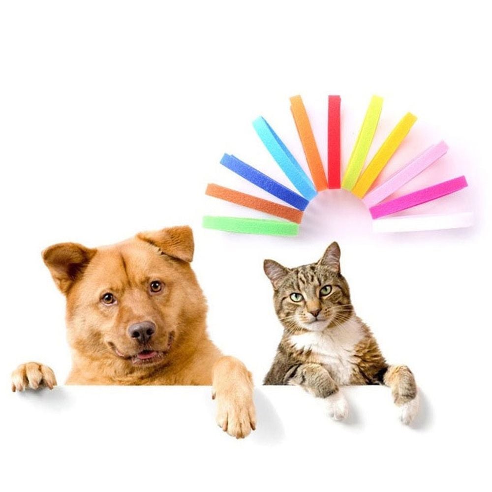 PET 새끼 강아지 목걸이 12색 인식표 고양이 탯줄 컬러 네임택 출산 준비물 - 상품 이미지