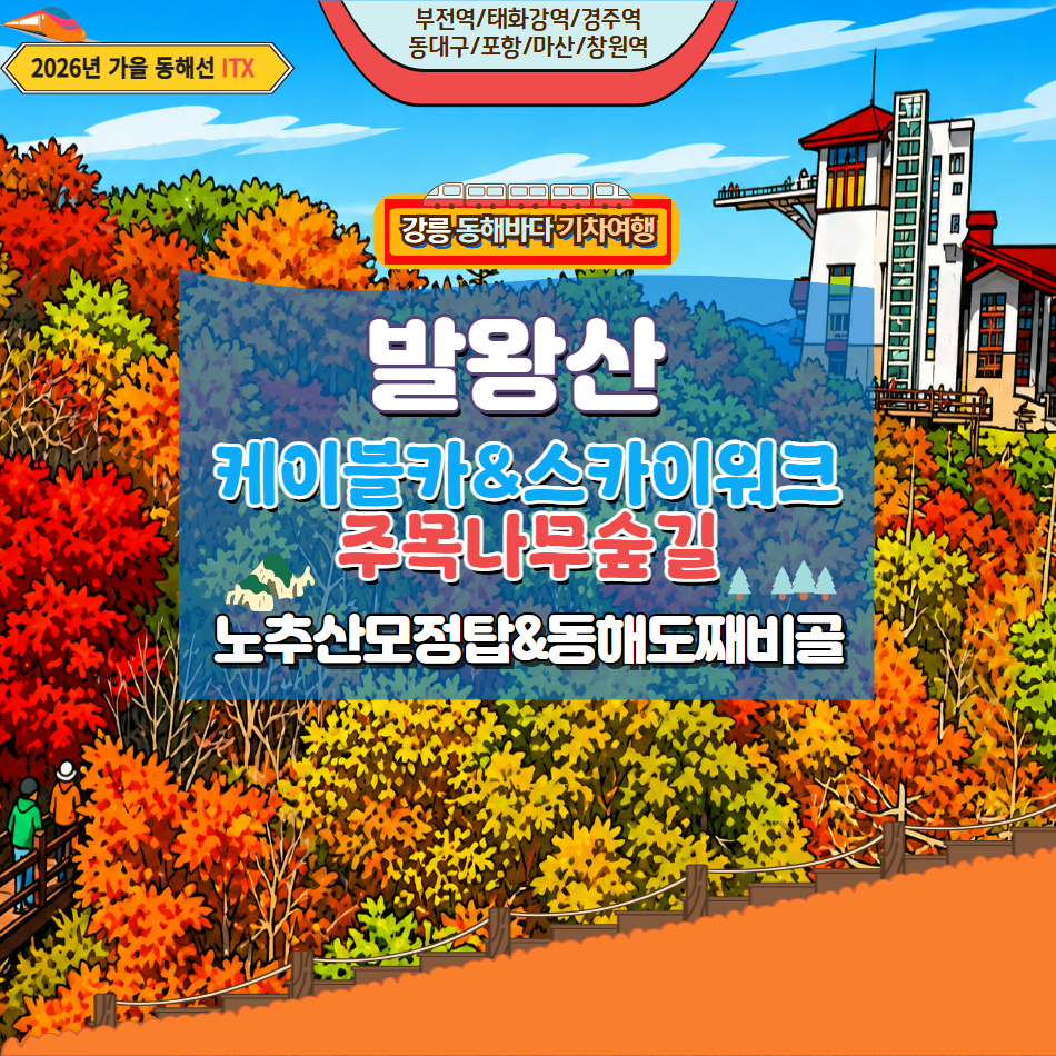[신록의 계절 당일기차] 발왕산 케이블카 & 천년주목나무 숲길&동해 도째비골 스카이위크 - 상품 이미지