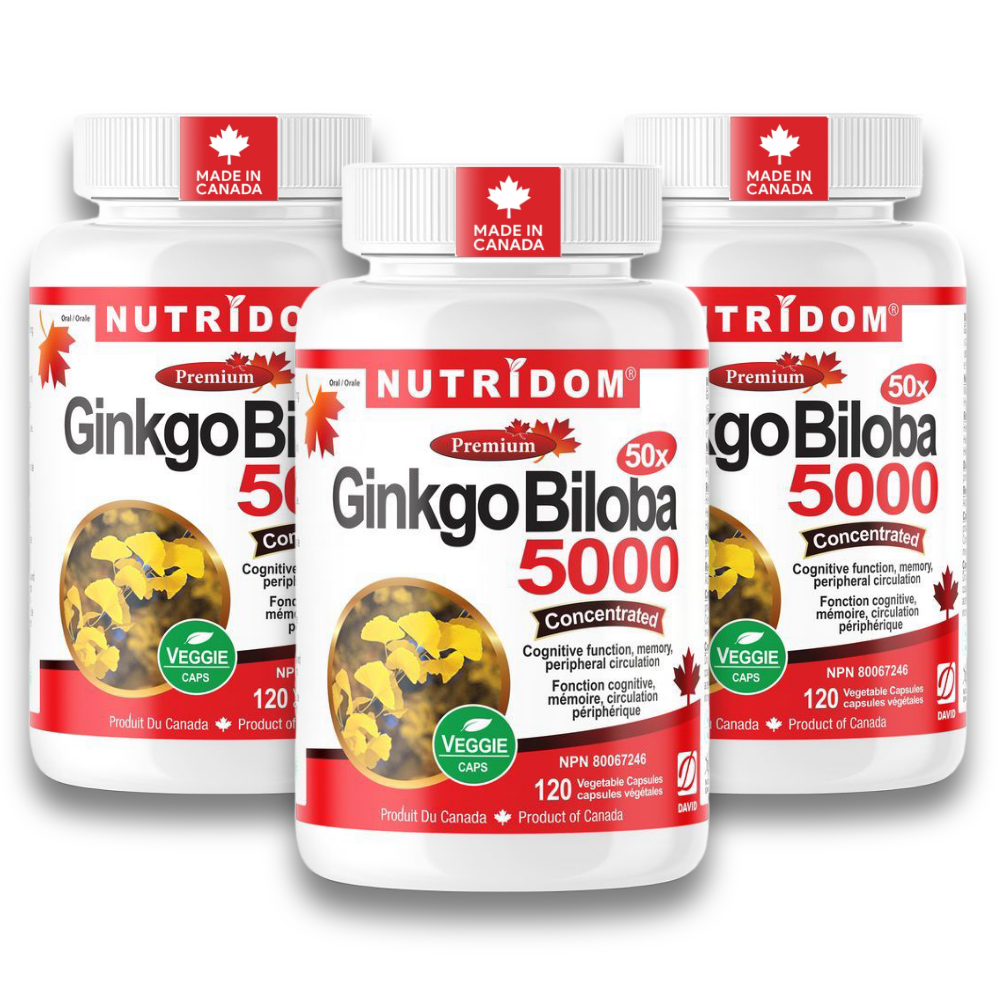뉴트리돔 징코 빌로바 50배농축 은행잎 추출물 5000mg 120캡슐, 3개 - 상품 이미지