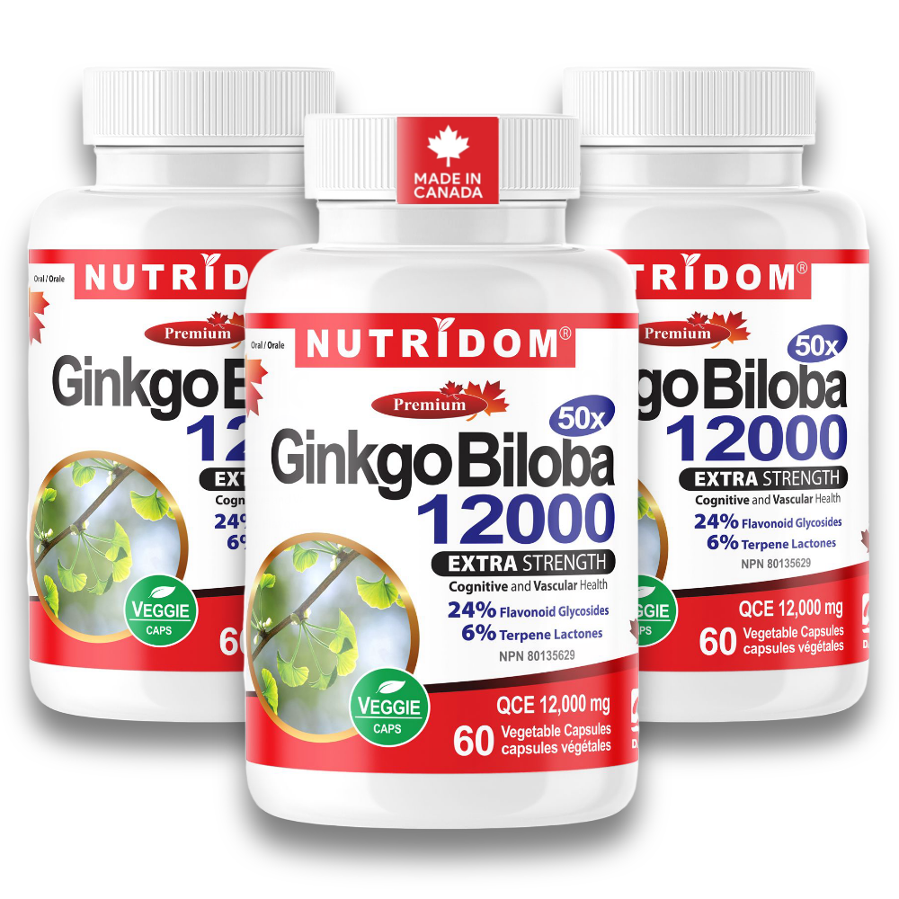뉴트리돔 징코 빌로바 50배농축 은행잎 추출물 12000mg 60캡슐, 3개 - 상품 이미지
