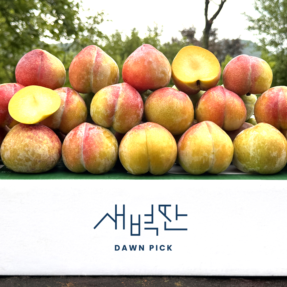 (농할20%) 경산 와촌 후무사 추희 왕자두 1kg 2kg 상품 이미지