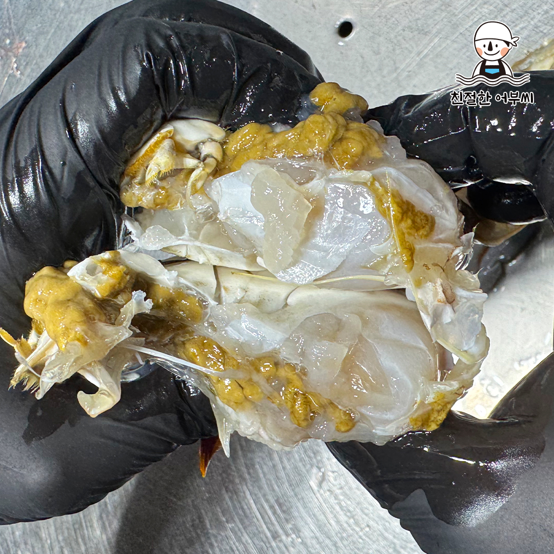 꽃게 제철 활 숫꽃게 톱밥 가을 생물 급냉 냉동 1kg 2kg 3kg 친절한어부씨 상품 이미지