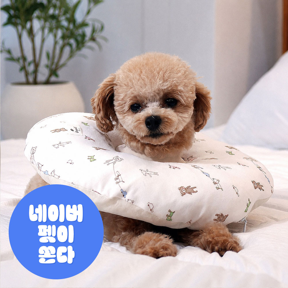 강아지 넥카라 고양이 중성화 수술 발사탕 오가닉 쿠션 도넛 세탁가능 곰S