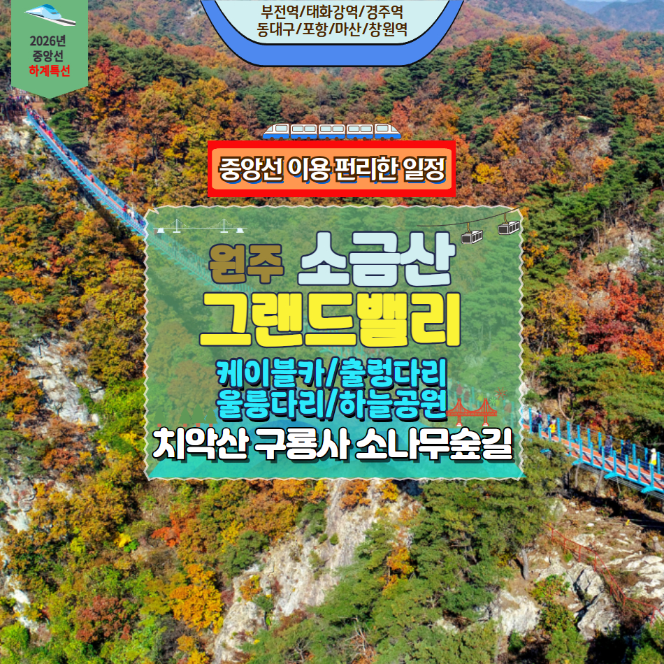 [부울경 당일기차] 원주 소금산 그랜드밸리&치악산 구룡사 금강소나무숲길 - 상품 이미지