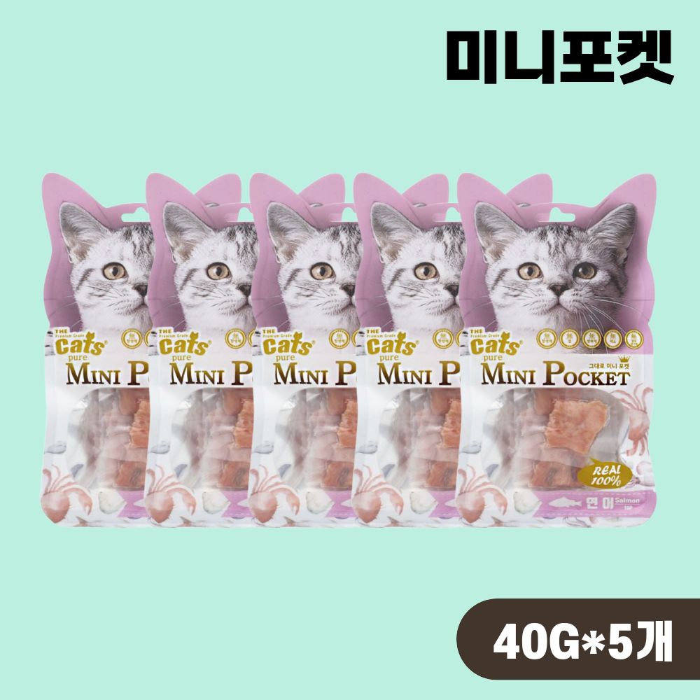 더캣츠 그대로 미니포켓 고양이간식 연어, 40g, 5개 - 상품 이미지
