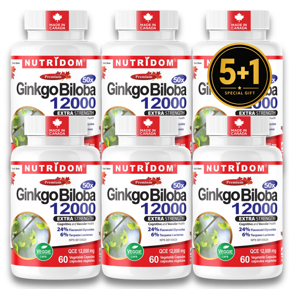 뉴트리돔 징코 빌로바 50배농축 은행잎 추출물 12000mg 60캡슐, 6개 - 상품 이미지