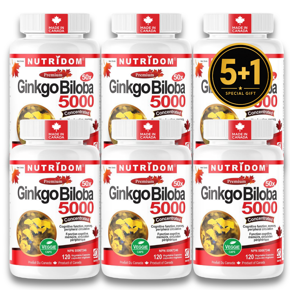 뉴트리돔 징코 빌로바 50배농축 은행잎 추출물 5000mg 120캡슐, 6개 - 상품 이미지