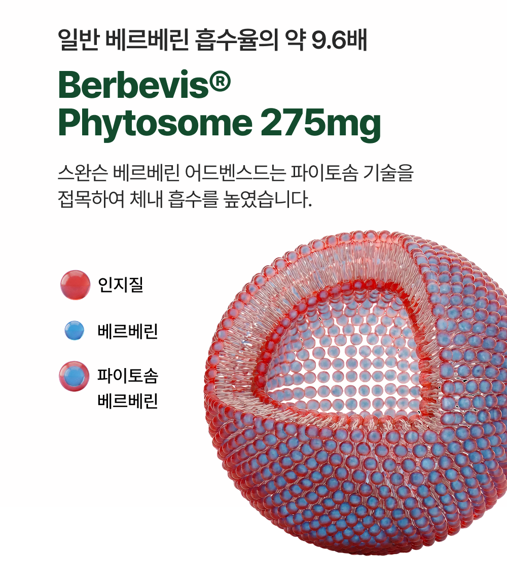 [해외]스완슨 베르베린 어드밴스드 550mg 파이토솜 30정, 2개 - 상세 이미지 3