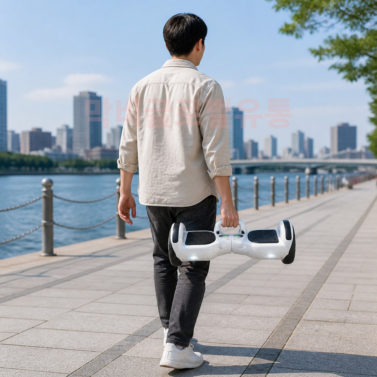 전동투휠 호버 보드 두발 이동수단 기본형 - 상품 이미지