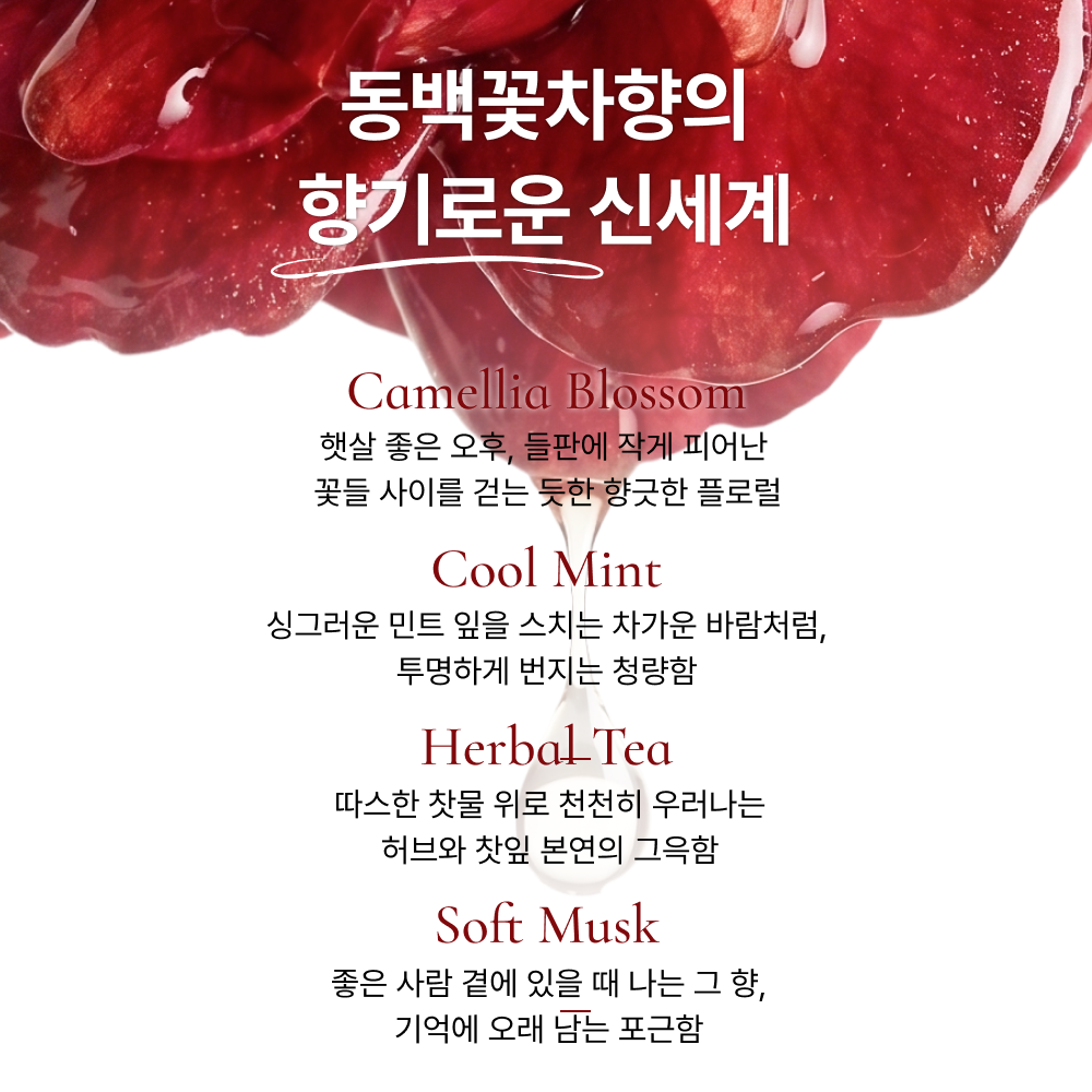 이쁜티 가글 동백꽃차향 30개입X6 브레스케어 구강청결제 가글추천 11ml, 180개 이미지 7