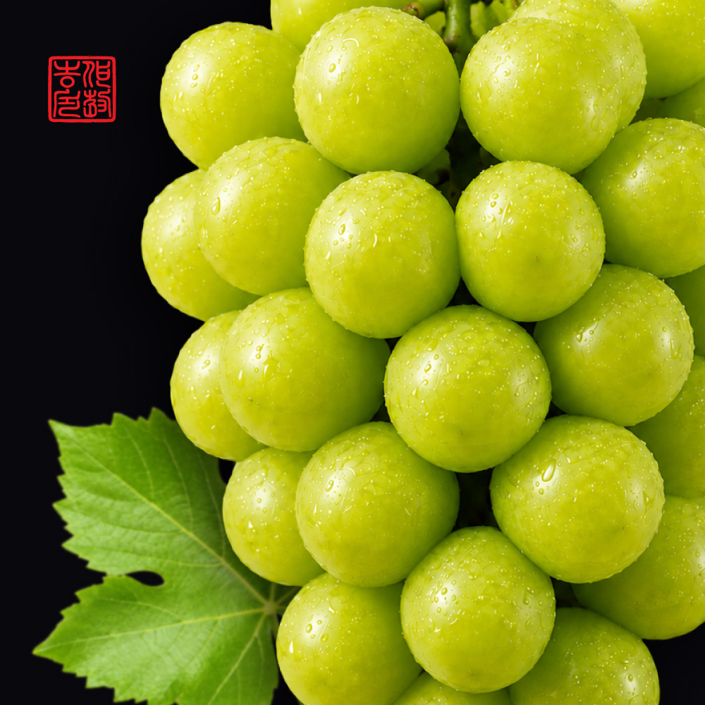 상품 이미지 1