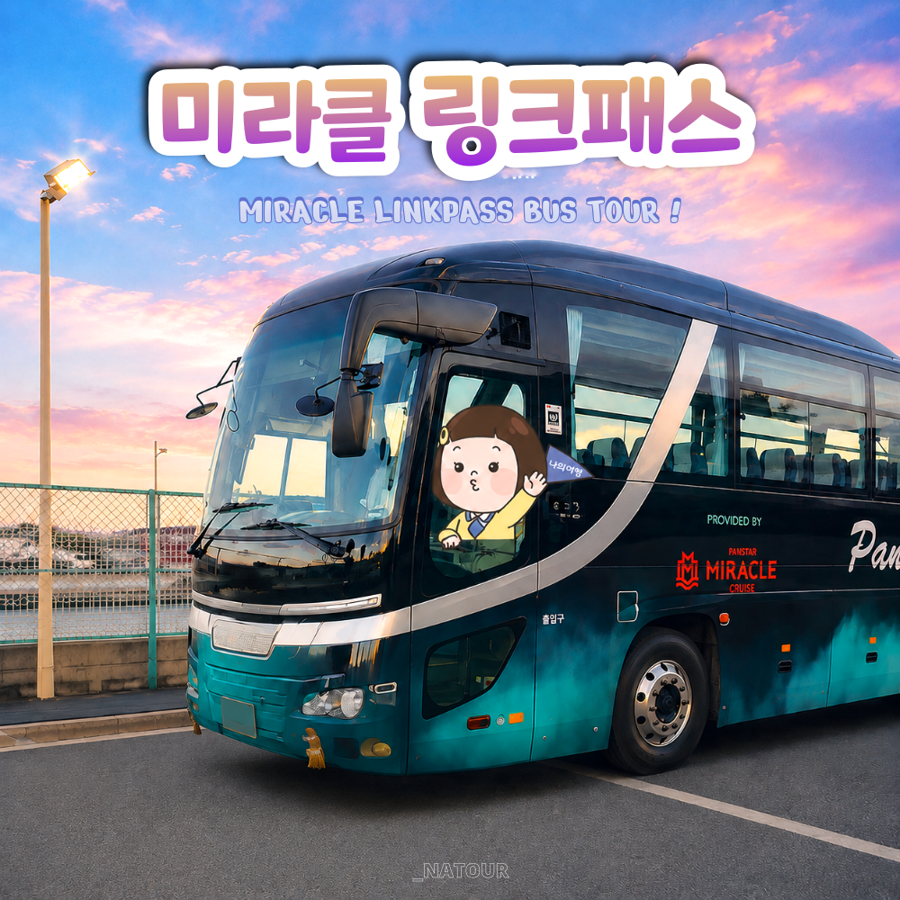 대마도 버스투어 미라클 링크패스 히타카츠 이즈하라 순환 셔틀 직행 콤보 버스 예약 - 상품 이미지