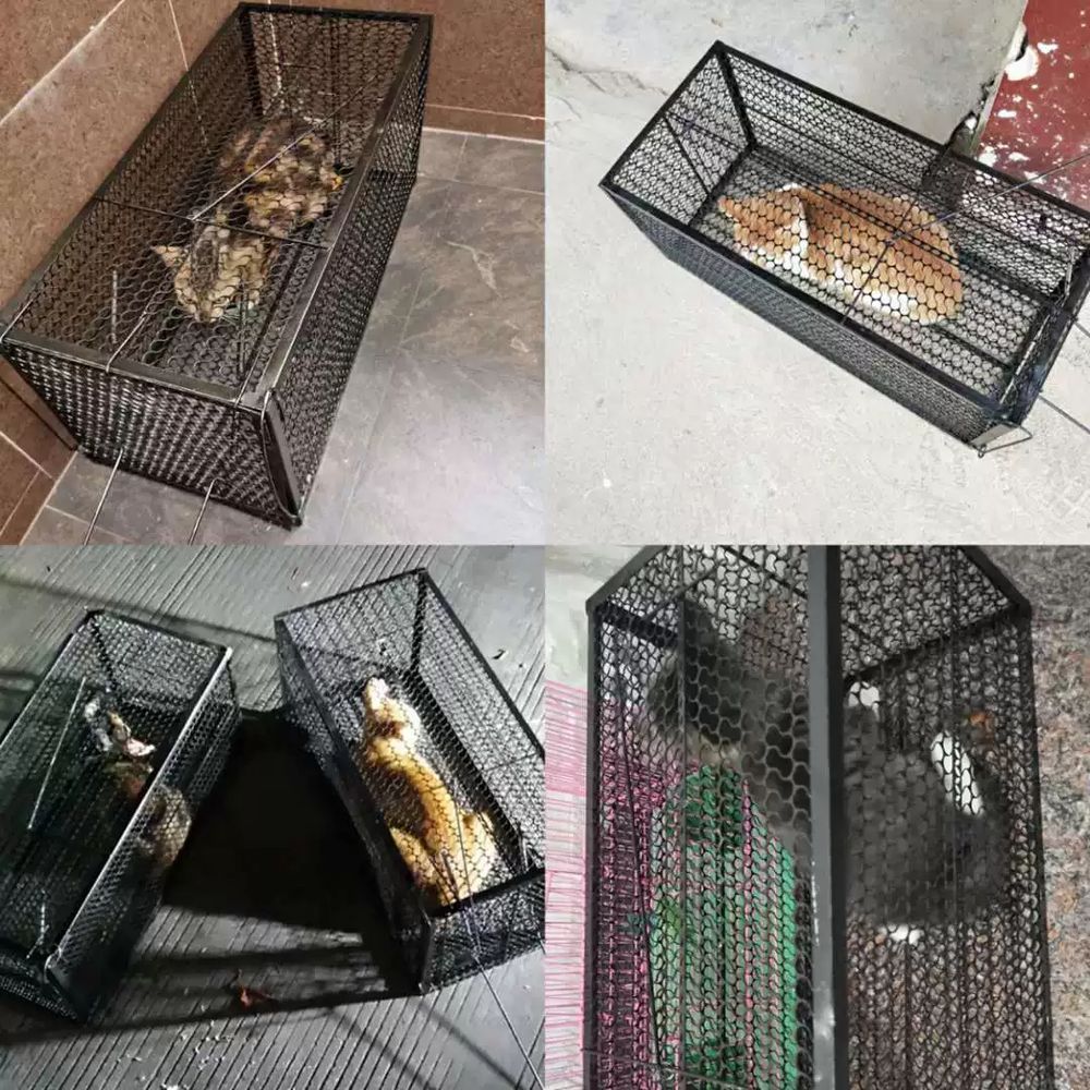 야생 길고양이포획틀 철제 고양이통덫 기본형 - 상세 이미지 4