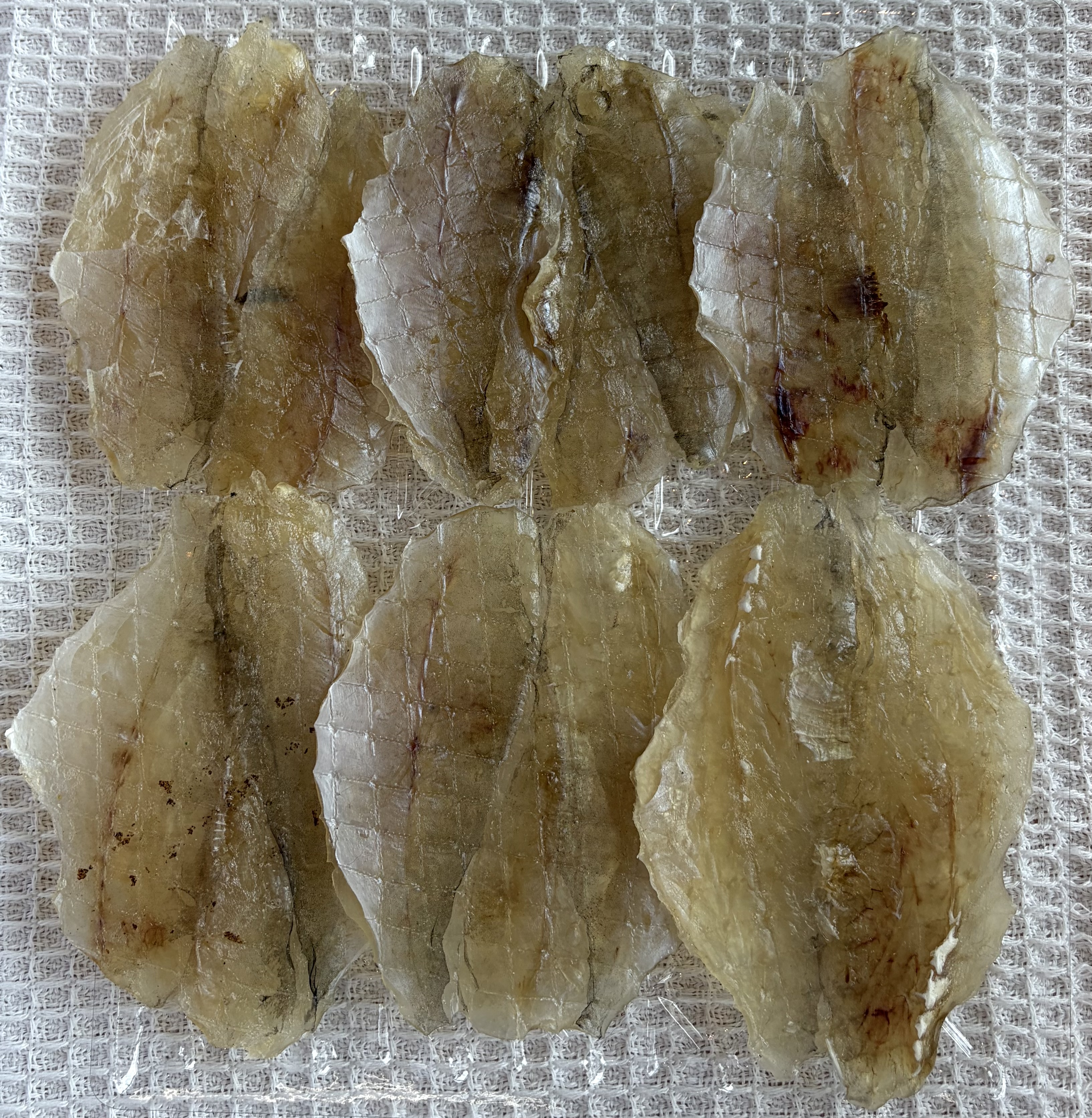 [논다푸드] 100% 국내산 두툼하고 쫄깃한 통살 쥐포 맥주안주 160g , 230g - 상세 이미지 3