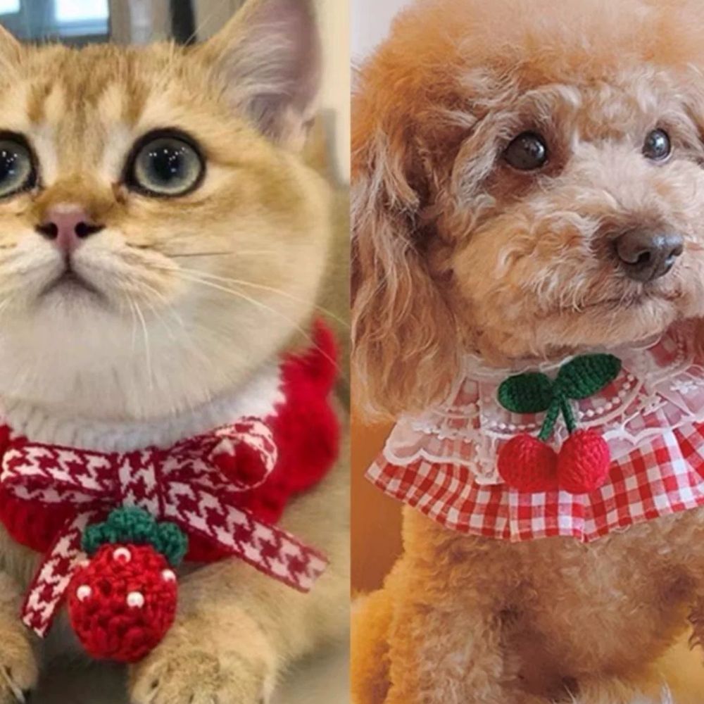 고양이 강아지스카프빕 니트 강아지케이프 기본형 - 상세 이미지 3