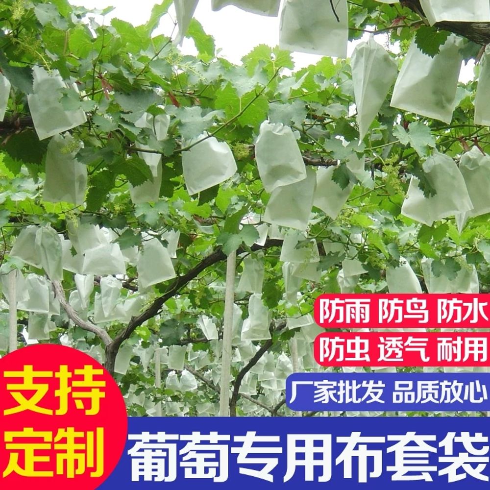 방제 거봉포도봉지 넝쿨 포도봉지 부직포 보호 기본형 - 상세 이미지 5