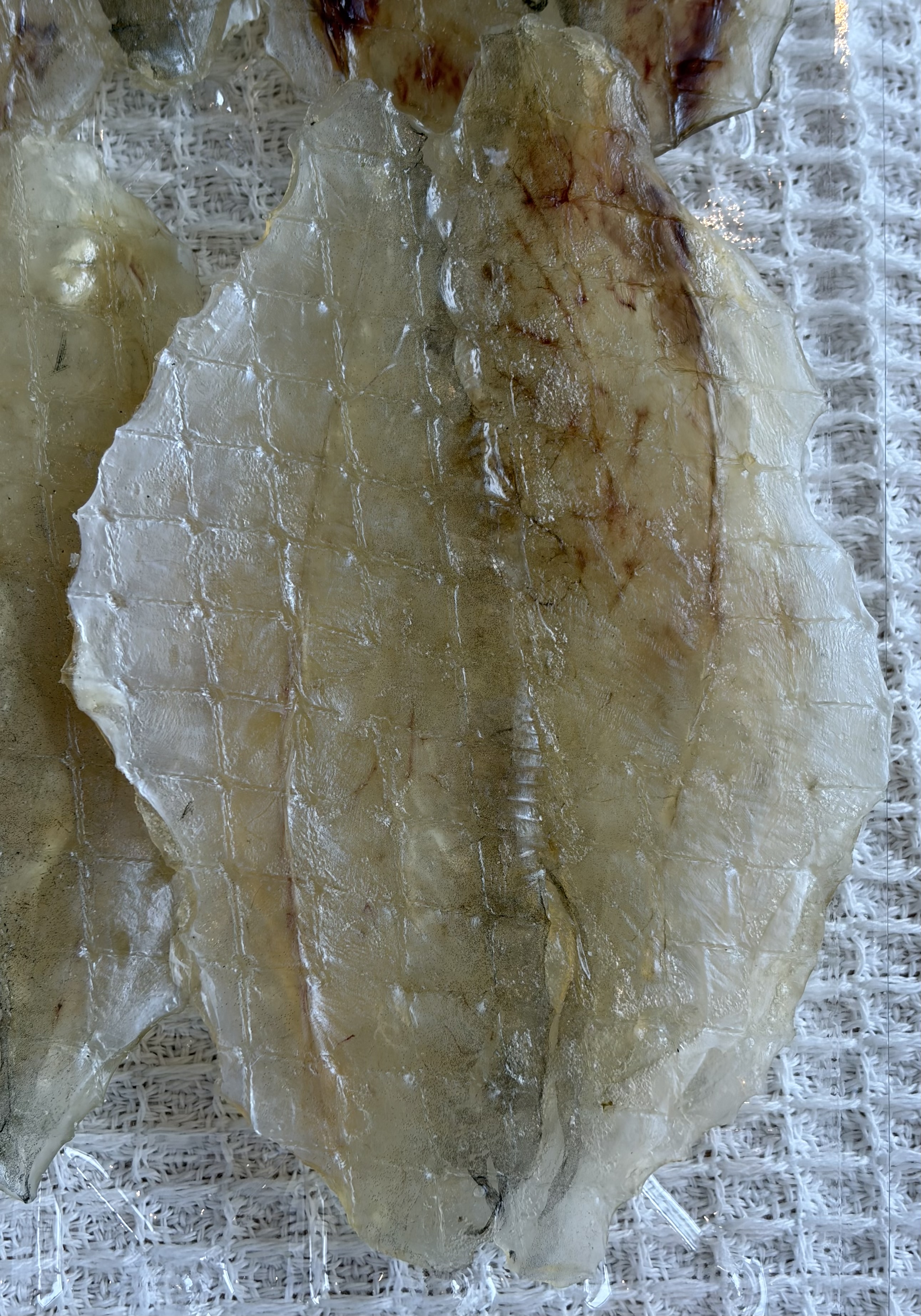 [논다푸드] 100% 국내산 두툼하고 쫄깃한 통살 쥐포 맥주안주 160g , 230g - 상세 이미지 5