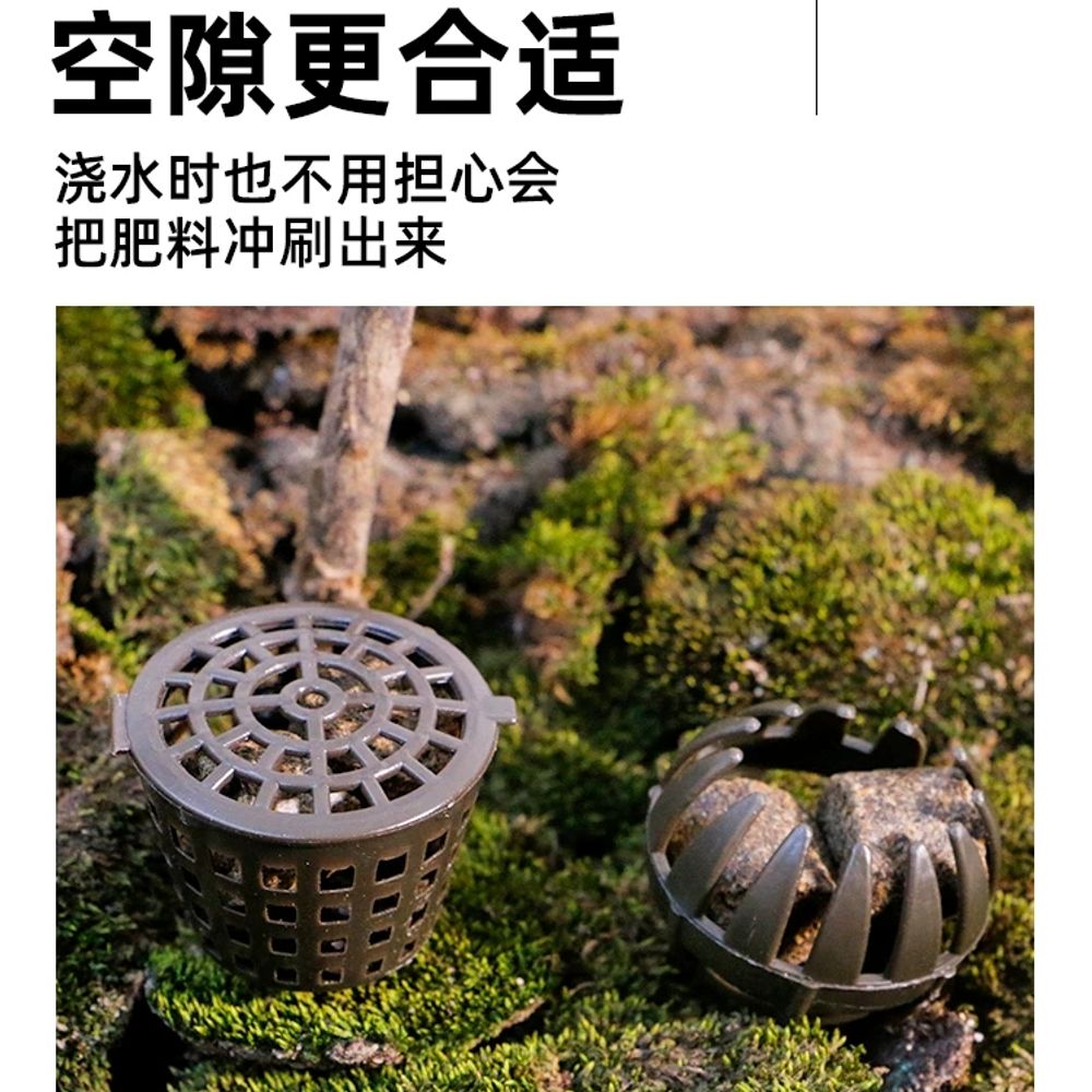분재 알비료 거름 고형비료 다육 화분용 기본형 - 상세 이미지 2