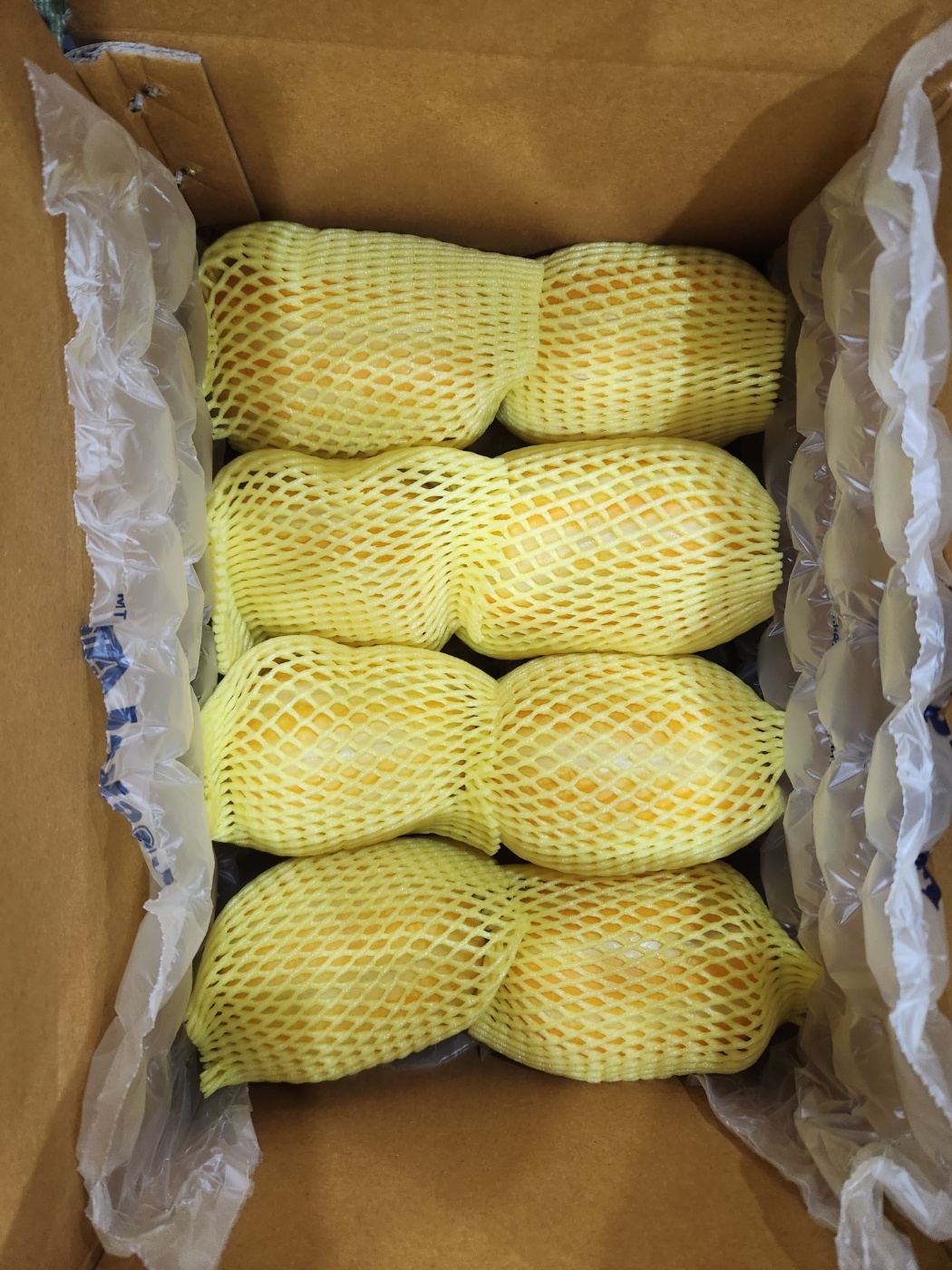 성주참외 10kg 중과 대과 고당도 꿀참외 국내산 제철과일 프루트앤조이 - 상세 이미지 5