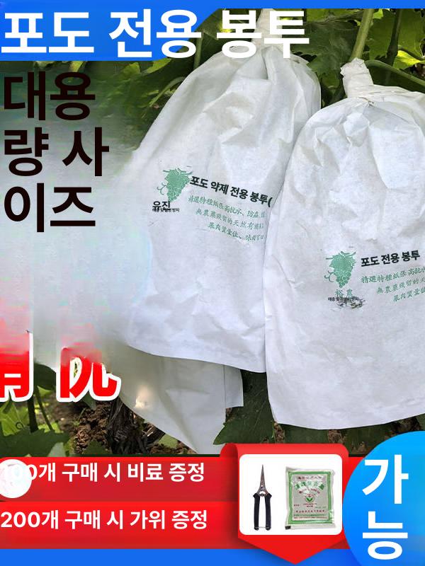 포도 봉투 포장지 재사용 샤인머스켓 방충 망사 비닐 과수원 19x26cm 0.5kg - 상세 이미지 2
