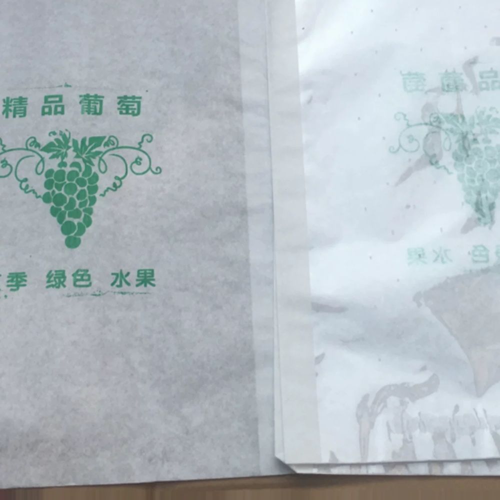 재배 포도봉지 투명 배봉지가격 기본형 - 상세 이미지 4
