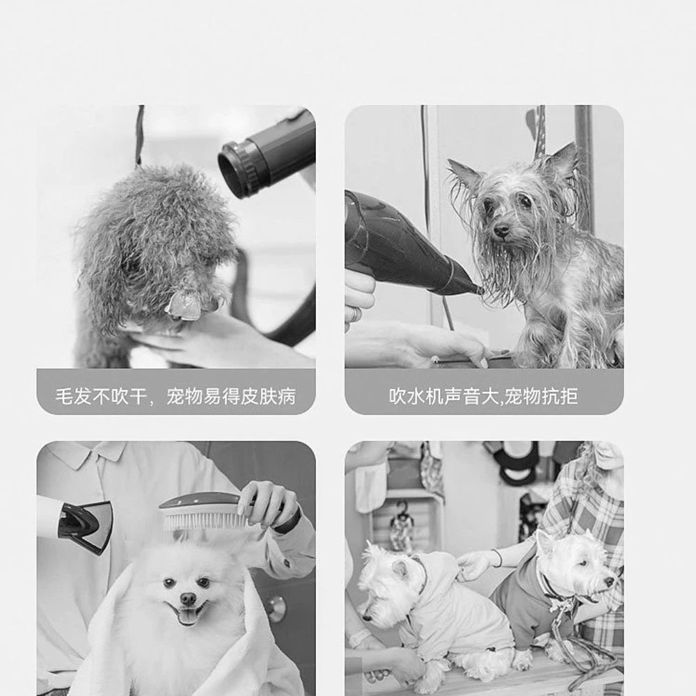 애견 강아지전용드라이기 대형견에어탱크 기본형 - 상세 이미지 5