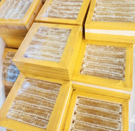 토종 자연 벌집꿀 2kg - 상세 이미지 2