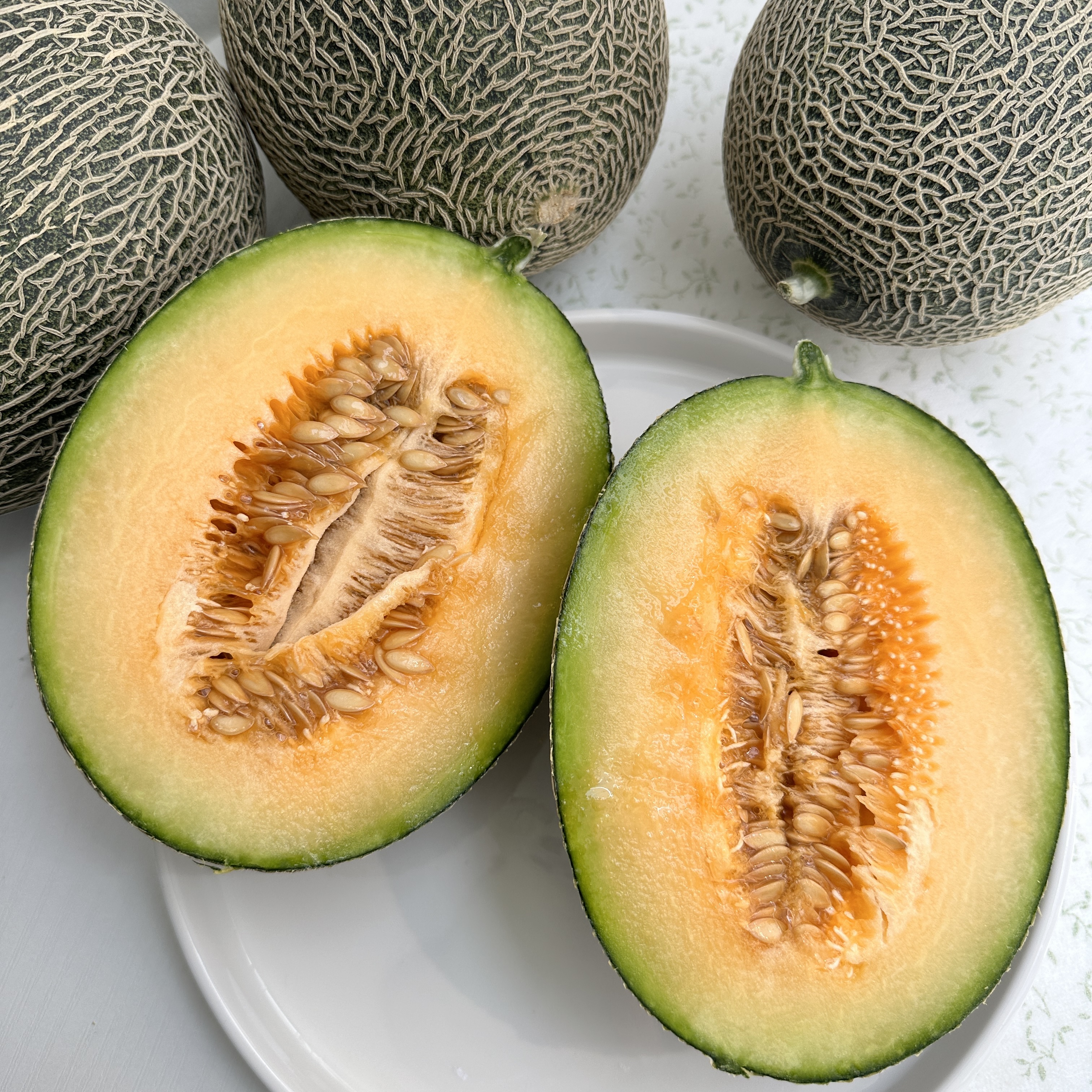 그린 하미과 메론 1.2kg 내외 2통 고당도 멜론 제철과일 프루트앤조이 - 상세 이미지 3