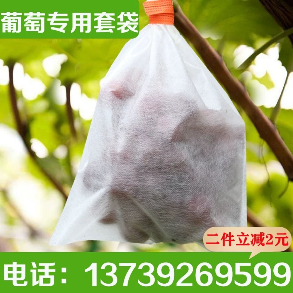 방제 거봉포도봉지 넝쿨 포도봉지 부직포 보호 기본형 - 상세 이미지 4