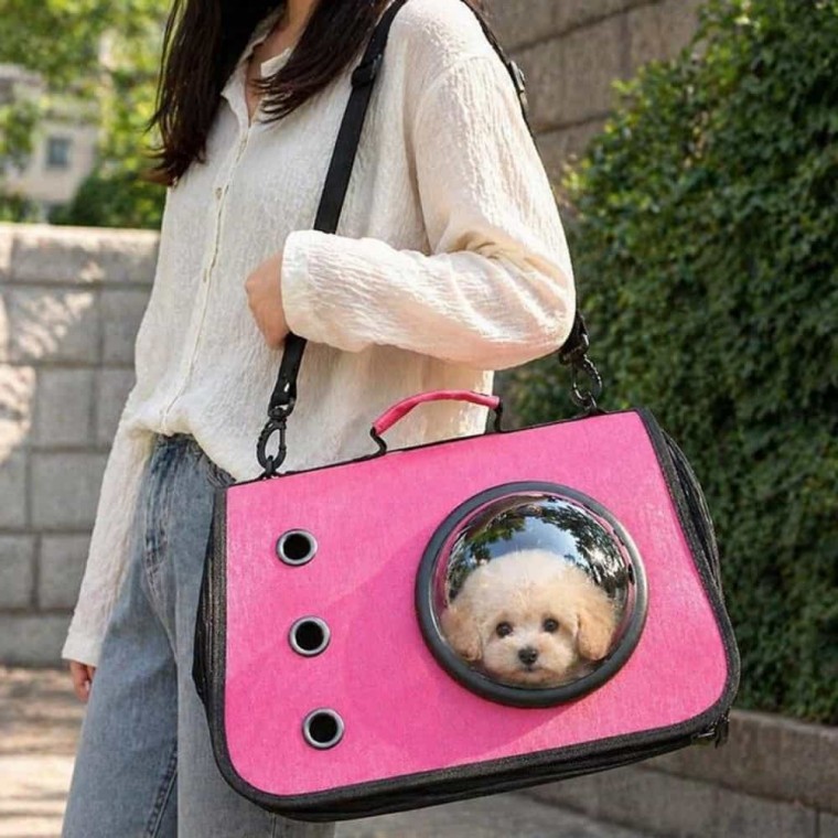 고양이 반려동물 이동가방 우주선 강아지 숄더백 슬링백 여행 펫캐리어