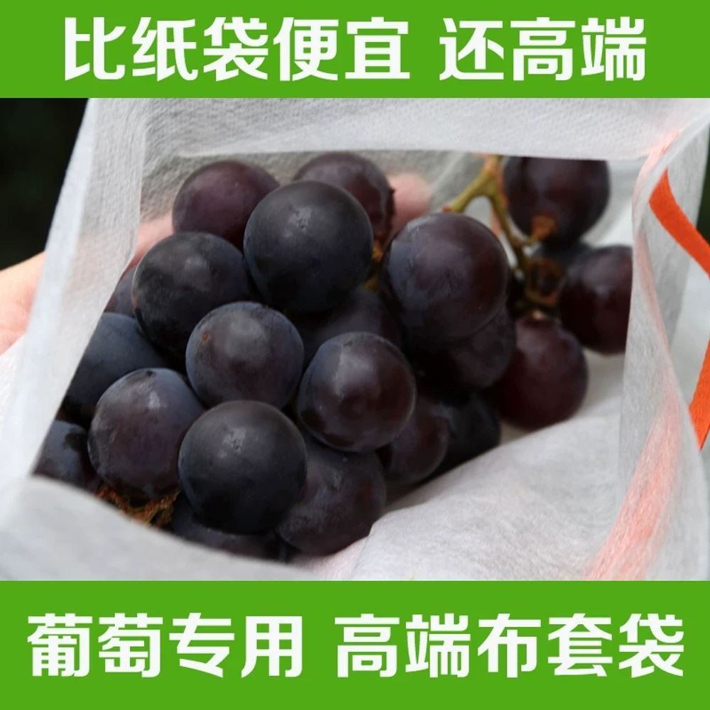 방제 거봉포도봉지 넝쿨 포도봉지 부직포 보호 기본형 - 상세 이미지 2