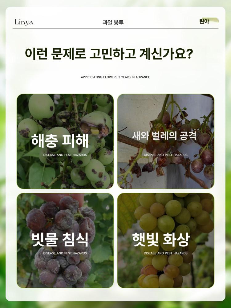 포도 봉투 포장지 복숭아 재사용 비닐 망사 샤인머스켓 과수원 화이트 20x28 100개 0.5kg - 상세 이미지 2