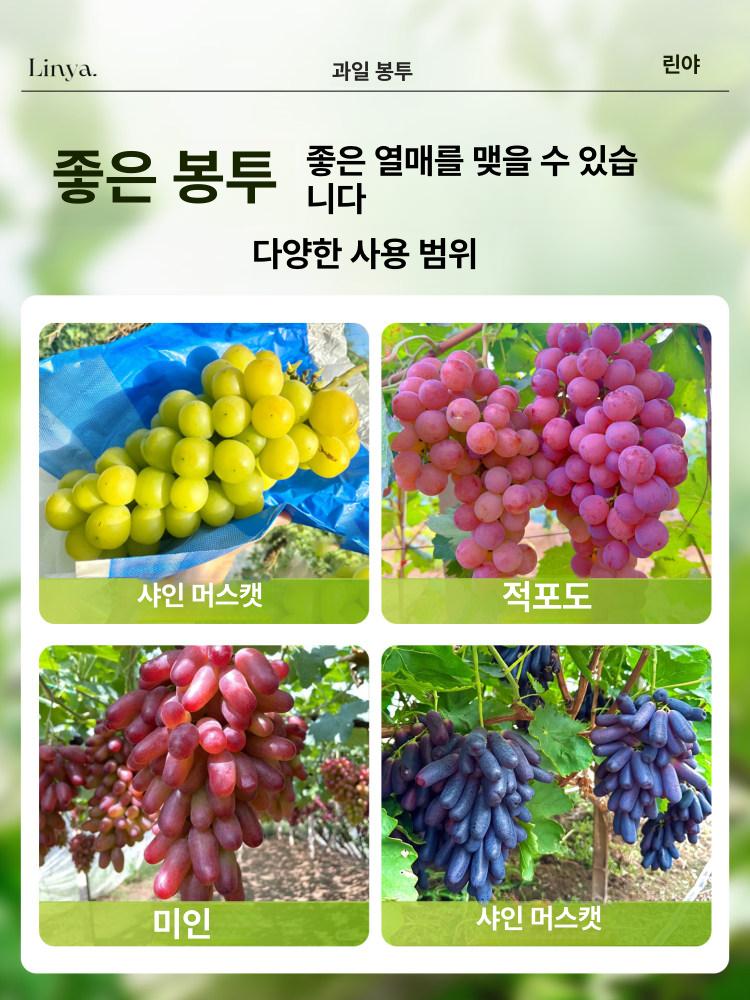 포도 봉투 포장지 복숭아 재사용 비닐 망사 샤인머스켓 과수원 화이트 20x28 100개 0.5kg - 상세 이미지 5