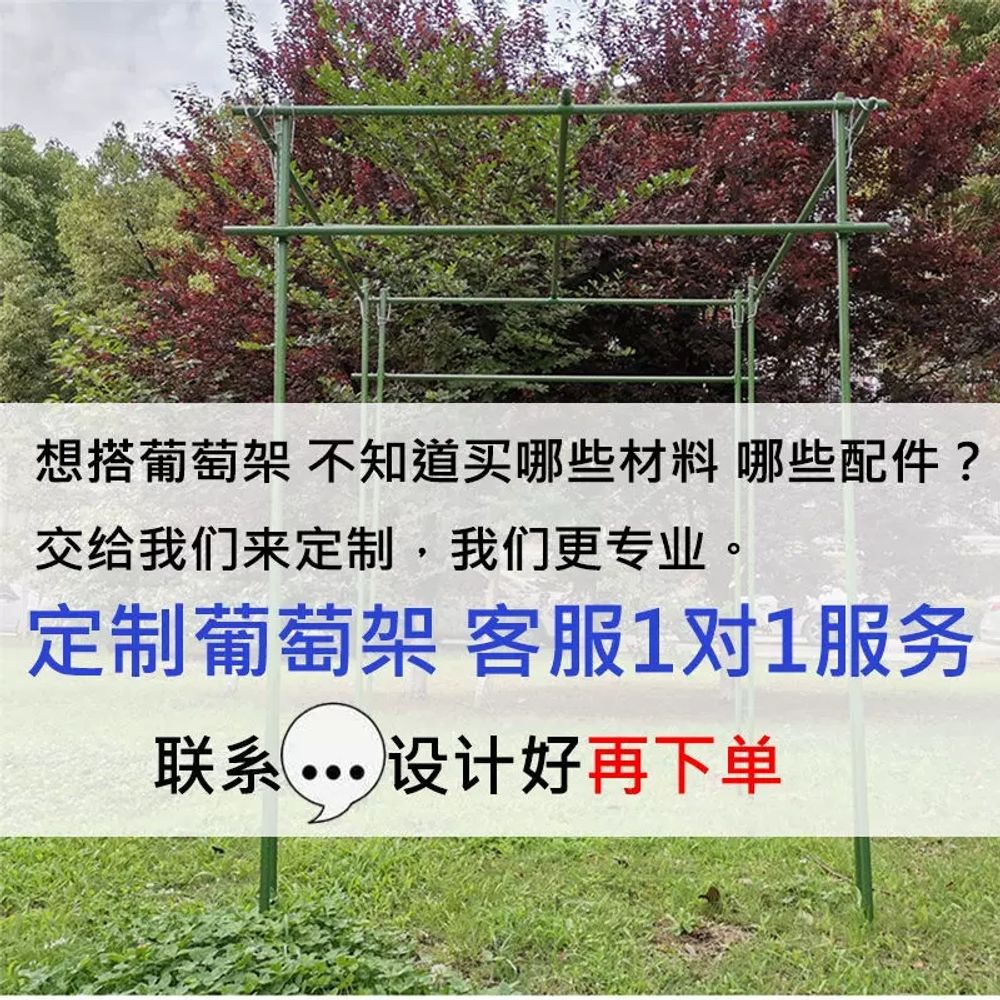 농업용 포도나무지지대 텃밭 넝쿨지지대 프레임 장미 기본형 - 상세 이미지 3