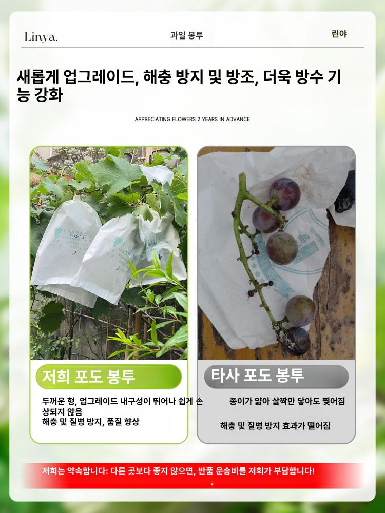 포도 봉투 포장지 복숭아 재사용 비닐 망사 샤인머스켓 과수원 화이트 20x28 100개 0.5kg - 상세 이미지 3