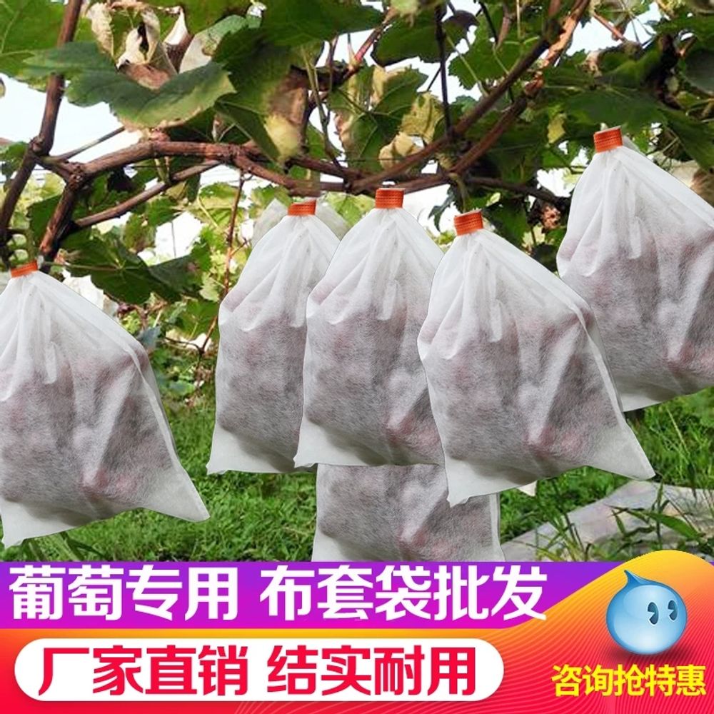 방제 거봉포도봉지 넝쿨 포도봉지 부직포 보호 기본형 - 상세 이미지 3
